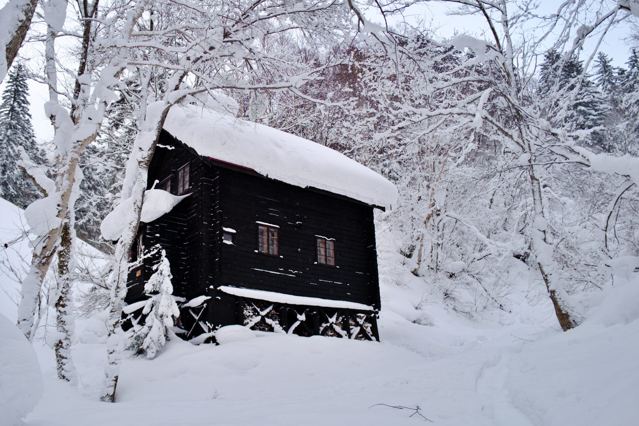 北海道のあるある「雪庇落とし」と「ホッカイ棒」 | 北海道へ行こう！